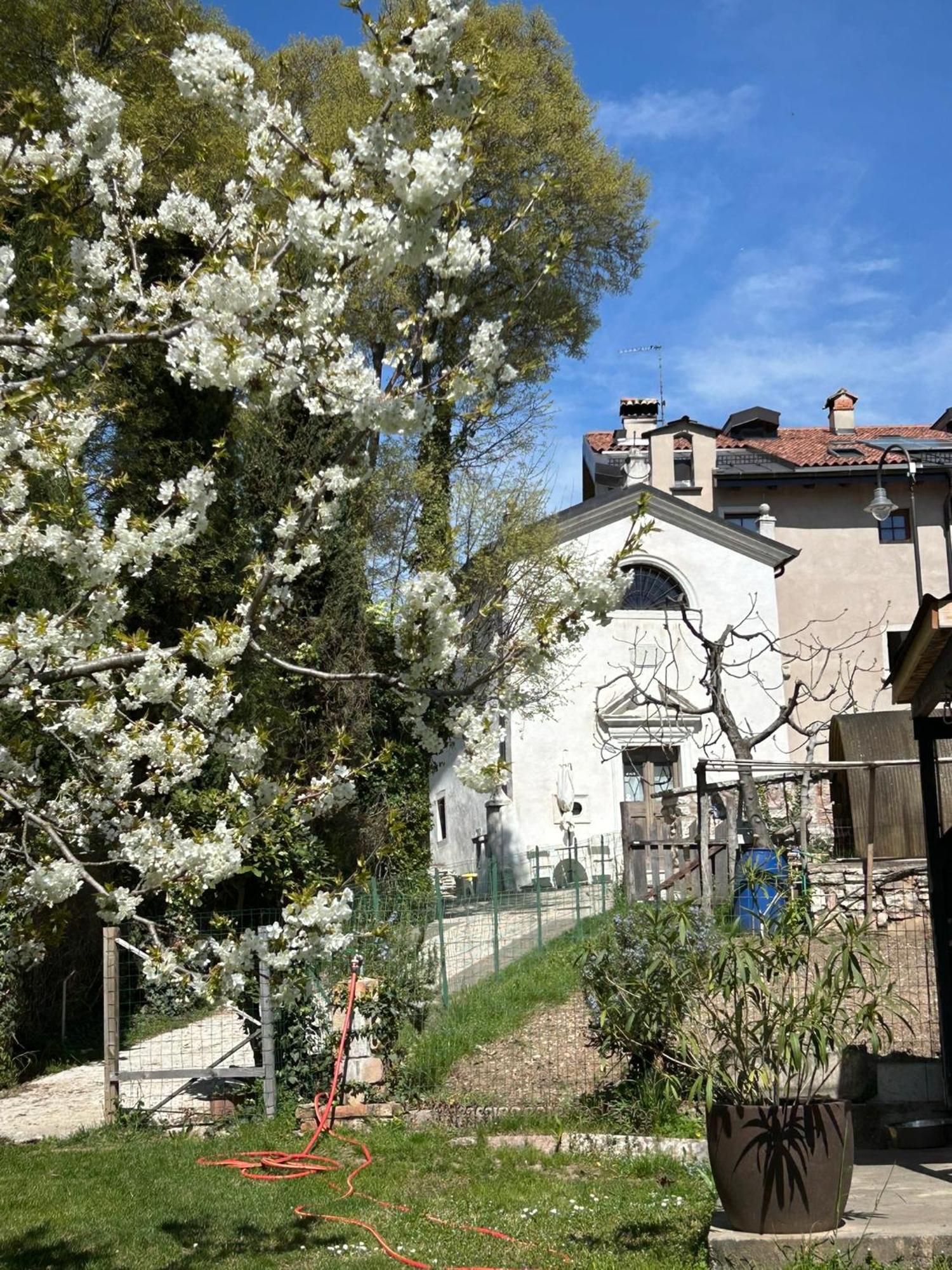 Holliday Charming Home ترينتو المظهر الخارجي الصورة